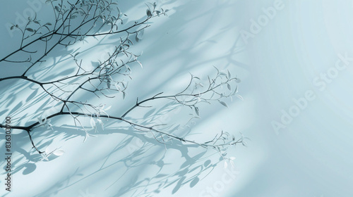 Gentle light blue backdrop with intricate tree branch shadows for elegant product presentation