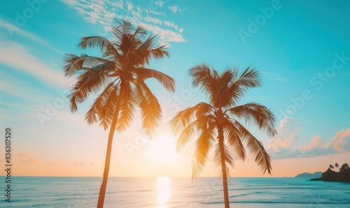 Island Bliss  Embrace Nature s Haven with Swaying Palms   Turquoise Waters
