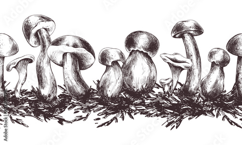 Forest edible mushrooms porchini, boletus, chanterelles with moss. Graphic illustration, hand drawn with brown ink, line art monochrome. Seamless board pattern on the theme of forest, harvest, nature.