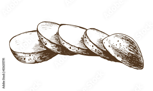 White potatoes in brown skin, cut into round slices, stacked. Graphic illustration hand drawn in brown ink line art on the theme of harvest, cooking, food, vegetable. Element EPS vector