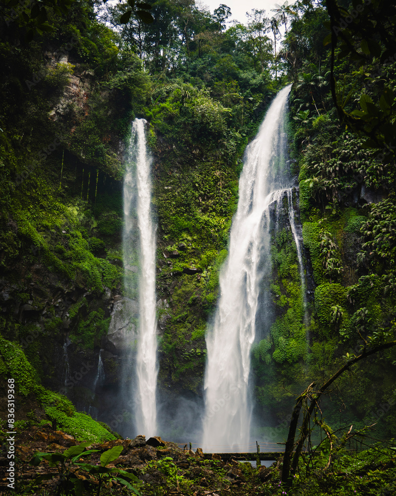 Fototapeta premium waterfall in the jungle of indonesia