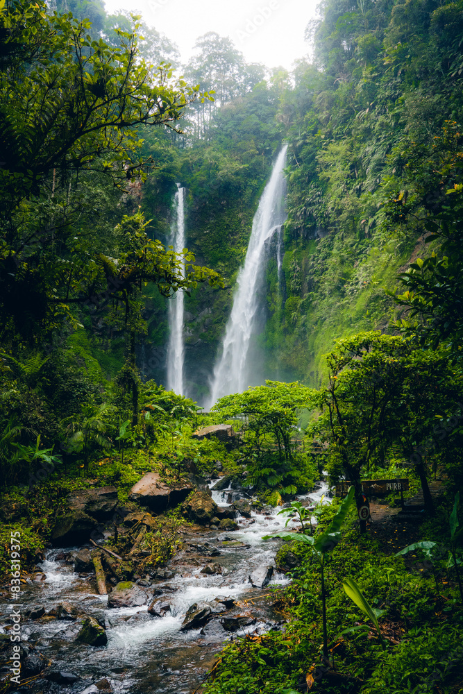 Fototapeta premium waterfall in the jungle of indonesia