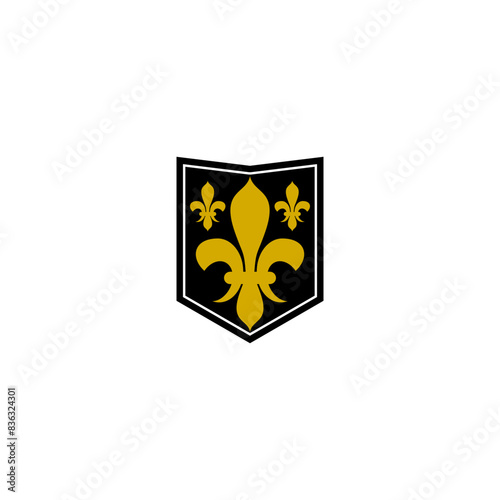 Middle ages heraldic shield icon on white
