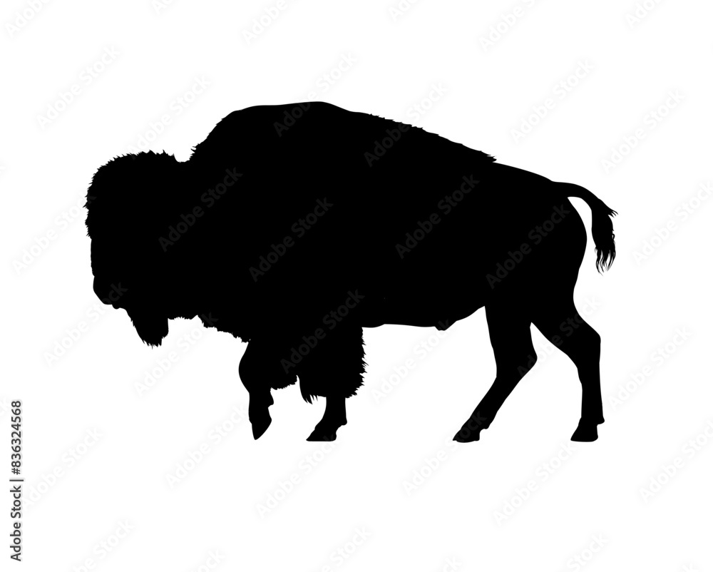 Bison silhouette - vector illustration Bison silhouette - vector illustration