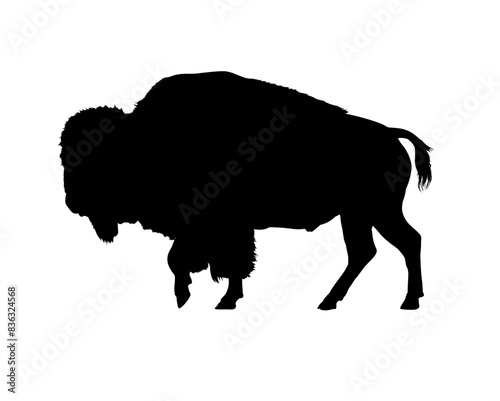 Bison silhouette - vector illustration
