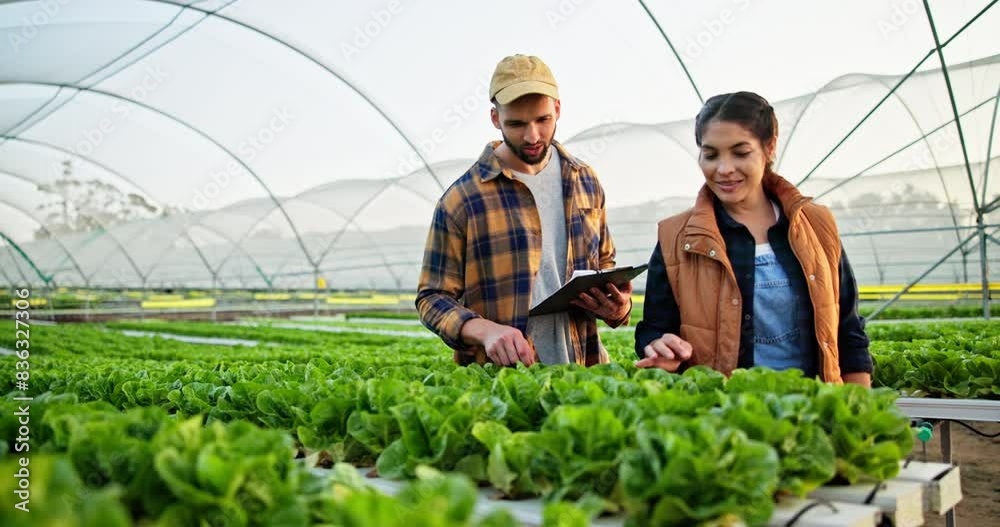 Farmers, plants and checklist in greenhouse for agriculture, sustainable or organic farming and inspection for quality control. People, man and woman with clipboard or discussion for agro development