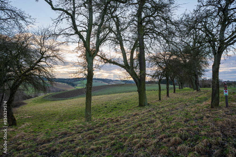 Lush green landscape near trees and hills Lush green landscape near trees and hills