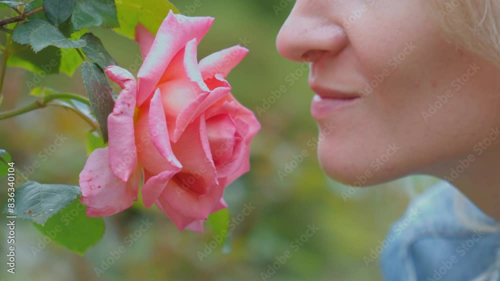 Woman sniffing big red rose on tree with closed eyes close-up ...