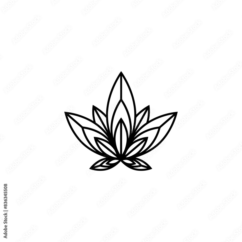 flowers flowers