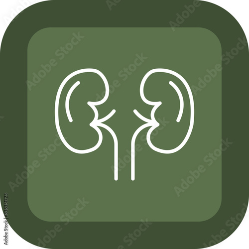 Kidneys Line Green Box Icon