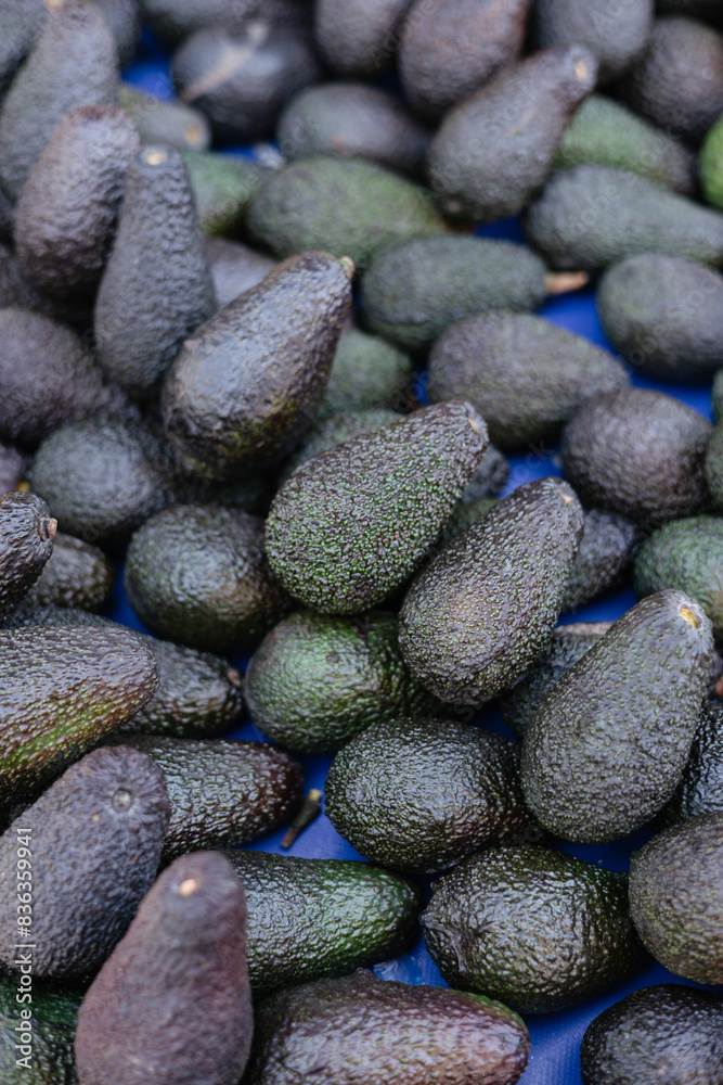 beautiful fresh avocados on a market stall beautiful fresh avocados on a market stall