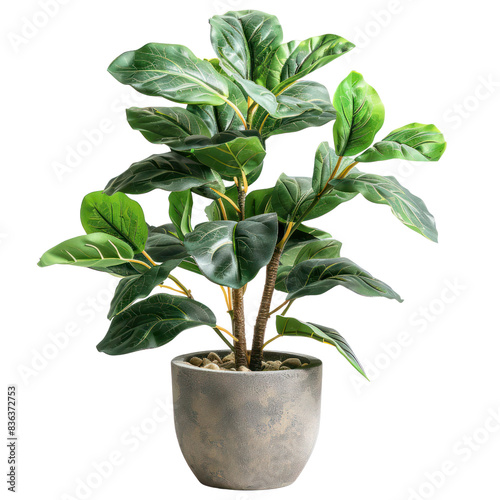Vibrant artificial potted plant with realistic green leaves, perfect for home or office decoration and low maintenance interior design. transparent backgrounds