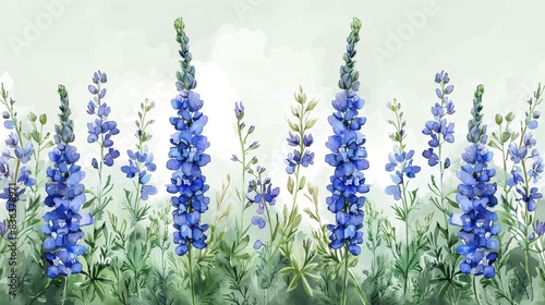 Delphinium, watercolor floral border, watercolor illustration, isolated on pastel green background