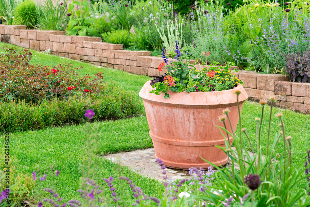flowers in a garden in pot flowers in a garden in pot