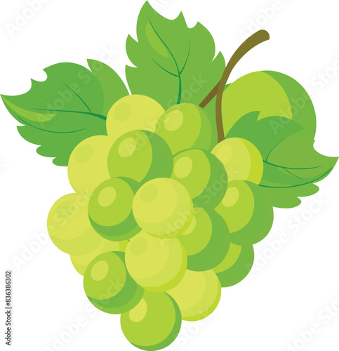 green grapes with leaves isolated on a white background, green grapes fruit logo, Fresh fruit logo design, green grapes fruit illustration logo