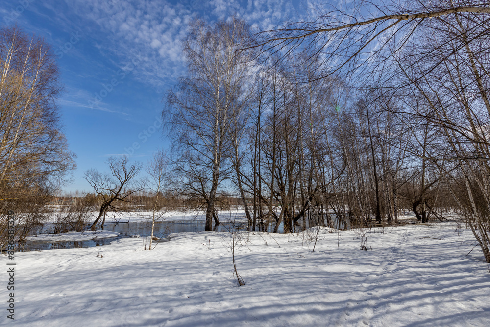A serene winter scene with snow-covered ground and bare birch trees under a blue sky with clouds. The sunlight casts shadows on the snow, and there's a river with ice on the far side.