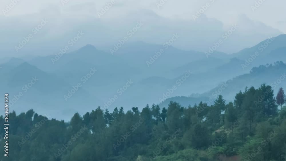 Captivating green landscapes, perfect for dynamic and calming nature backgrounds. Captivating green landscapes, perfect for dynamic and calming nature backgrounds.