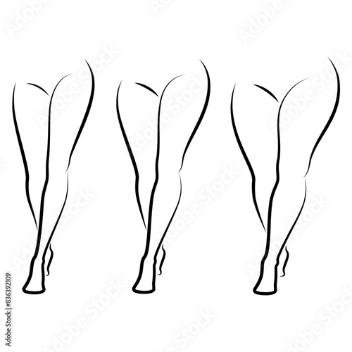 Collection. Silhouette of a beautiful female figure, legs. The lady is standing. The girl is thin, slender, and the woman is fat. Set of vector illustrations.