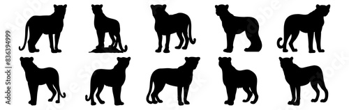 Leopard silhouettes set, pack of vector silhouette design, isolated background