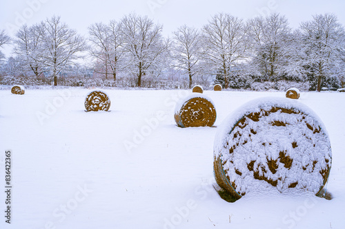 Loch Raven Hay Bales photo