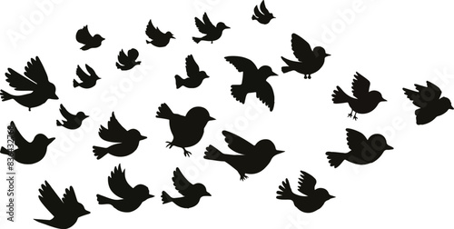 bird outline vector