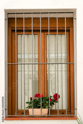 Secure and Aesthetic Urban Window Design with Blooming Red Flowers