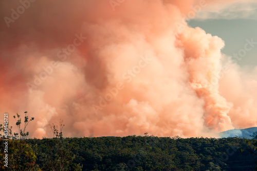 Photograph of controlled bush fire hazard reduction burning by the Rural Fire Service in the Blue Mountains in NSW, Australia. photo