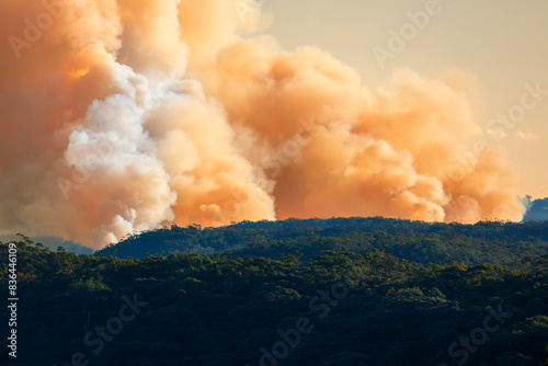 Photograph of controlled bush fire hazard reduction burning by the Rural Fire Service in the Blue Mountains in NSW, Australia. photo