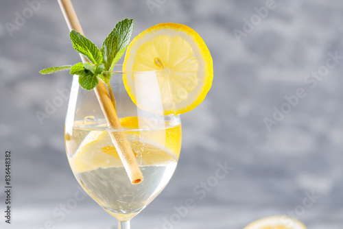 Hugo Sparkling Wine Cocktail with Fresh Mint and Lemon in Glass with Eco-Friendly Straw