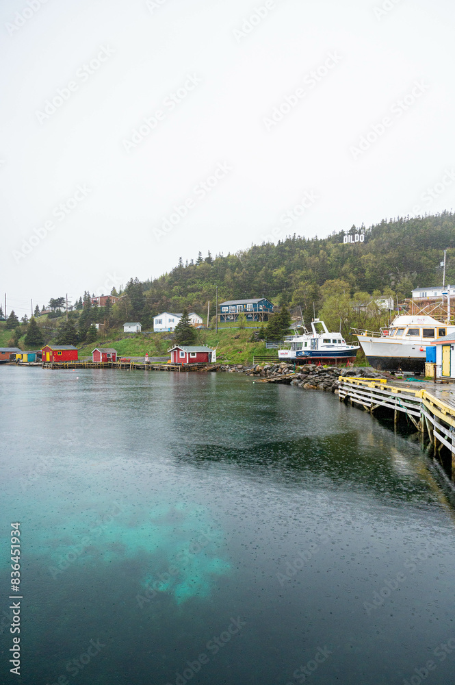 Foggy Newfoundland Landscape with ocean and mountains Foggy Newfoundland Landscape with ocean and mountains