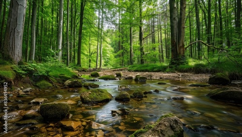 Beautiful forest with green trees and rocks in the stream, Germany