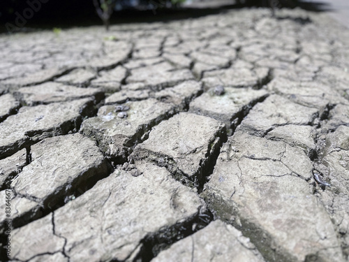 Closeup detail of dry, arid land.