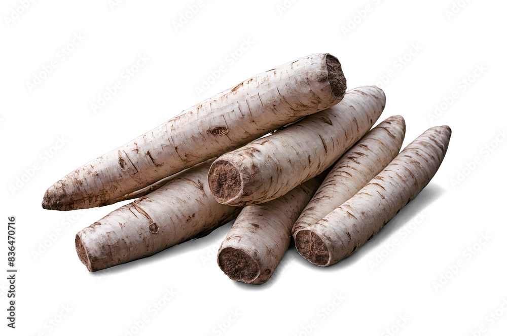 A stack of raw scraped horseradishes on transparent, white background, in png format for clear use A stack of raw scraped horseradishes on transparent, white background, in png format for clear use