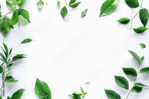 A white background with green leaves surrounding it