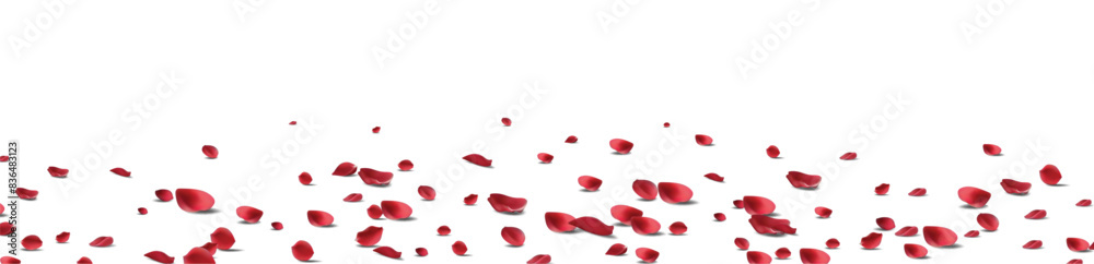 Backdrop of rose petals isolated on a transparent white background. Valentine day background. Vector illustration Backdrop of rose petals isolated on a transparent white background. Valentine day background. Vector illustration