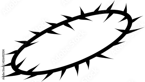 crown of thorns