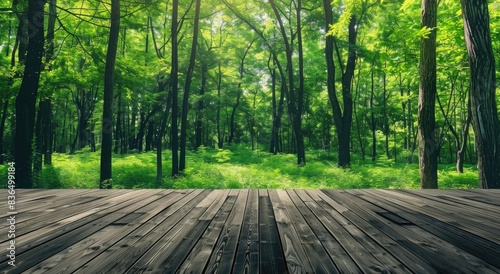 green forest with wood floor background  photo realistic