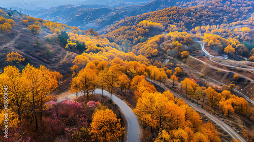 Golden Autumn Scenery of Qinling Mountains photo