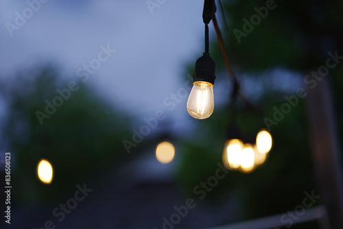 lights in the night