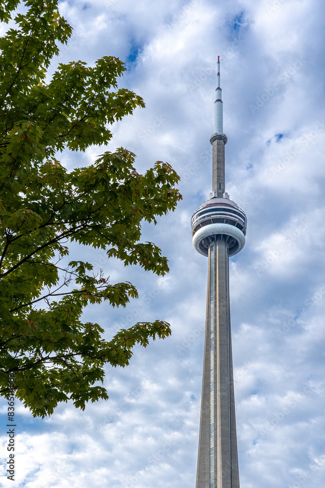 Obraz premium tv tower