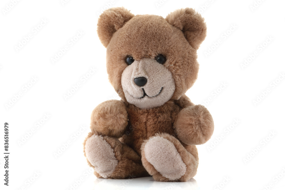 Fototapeta premium Happy brown Teddy Bear on white