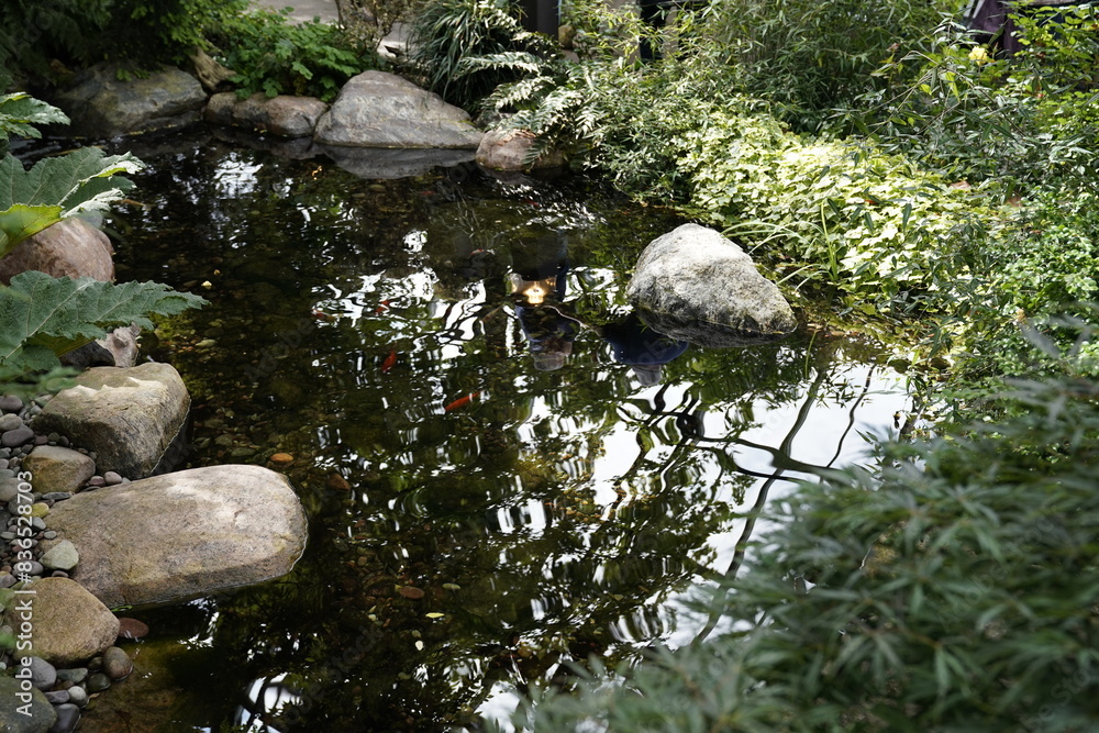 A quiet little pool of water with exposed rocks A quiet little pool of water with exposed rocks