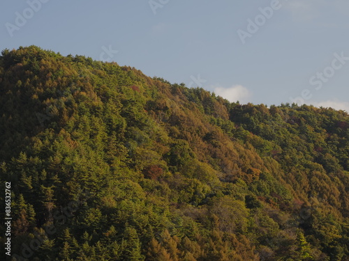 秋の山の風景