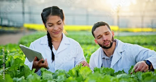 Tablet, greenhouse and scientist team check plant for agriculture research, innovation or botanist study organic food. Tech, farm or science people on leaf for gmo, ecology and natural sustainability