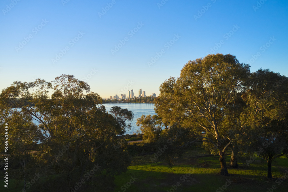 Perth Skyline View Between Trees at Lake Monger Perth Skyline View Between Trees at Lake Monger