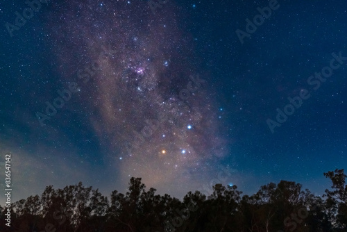 A view of a starry night sky above treetops with the Southern Cross and Milky Way clearly visible