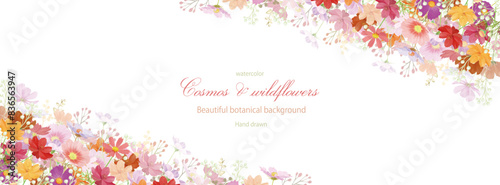 秋桜, コスモス, 花, 水彩, 秋, 背景, フレーム, 植物, カラフル, ベクター, イラスト