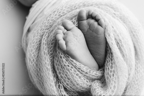 The tiny foot of a newborn baby. Soft feet of a new born in a wool blanket. Close up of toes, heels and feet of a newborn. Black and white Macro photography.