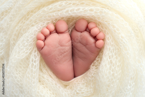 The tiny foot of a newborn baby. Soft feet of a new born in a wool white blanket. Close up of toes, heels and feet of a newborn. Macro photography.