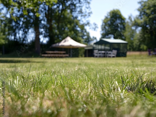 Wallpaper Mural Sunlit Grass Field at a Tranquil Camping Site Torontodigital.ca